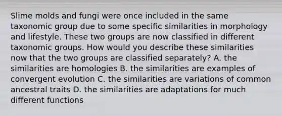 Slime molds and fungi were once included in the same taxonomic group due to some specific similarities in morphology and lifestyle. These two groups are now classified in different taxonomic groups. How would you describe these similarities now that the two groups are classified separately? A. the similarities are homologies B. the similarities are examples of convergent evolution C. the similarities are variations of common ancestral traits D. the similarities are adaptations for much different functions