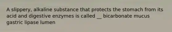 A slippery, alkaline substance that protects the stomach from its acid and digestive enzymes is called __ bicarbonate mucus gastric lipase lumen