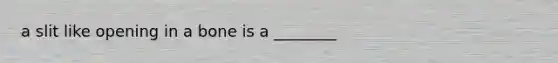 a slit like opening in a bone is a ________