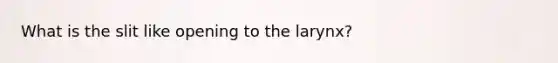 What is the slit like opening to the larynx?