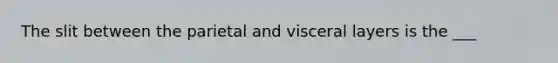 The slit between the parietal and visceral layers is the ___