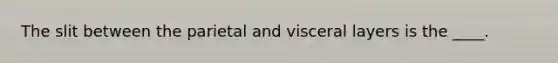 The slit between the parietal and visceral layers is the ____.