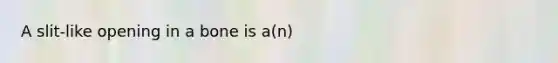 A​ slit-like opening in a bone is​ a(n)