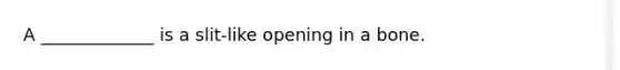 A _____________ is a slit-like opening in a bone.