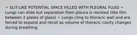 ⚬ SLIT-LIKE POTENTIAL SPACE FILLED WITH PLEURAL FLUID ⚬ Lungs can slide but separation from pleura is resisted (like film between 2 plates of glass) ⚬ Lungs cling to thoracic wall and are forced to expand and recoil as volume of thoracic cavity changes during breathing