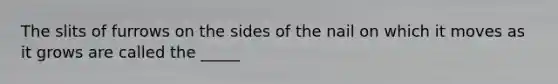 The slits of furrows on the sides of the nail on which it moves as it grows are called the _____