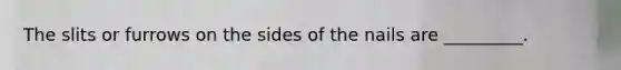 The slits or furrows on the sides of the nails are _________.