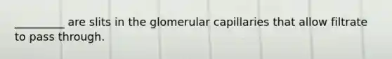 _________ are slits in the glomerular capillaries that allow filtrate to pass through.