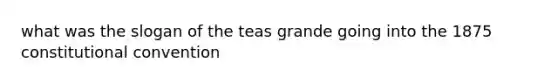 what was the slogan of the teas grande going into the 1875 constitutional convention