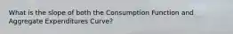 What is the slope of both the Consumption Function and Aggregate Expenditures Curve?