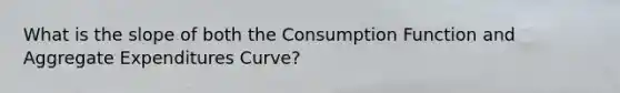 What is the slope of both the Consumption Function and Aggregate Expenditures Curve?