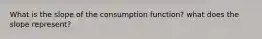 What is the slope of the consumption function? what does the slope represent?