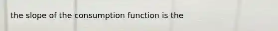 the slope of the consumption function is the