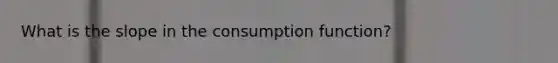 What is the slope in the consumption function?