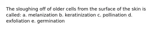 The sloughing off of older cells from the surface of the skin is called: a. melanization b. keratinization c. pollination d. exfoliation e. germination