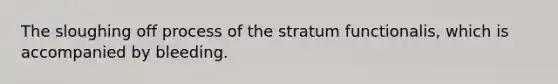 The sloughing off process of the stratum functionalis, which is accompanied by bleeding.