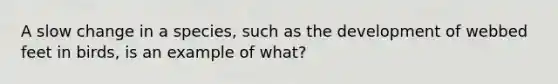 A slow change in a species, such as the development of webbed feet in birds, is an example of what?