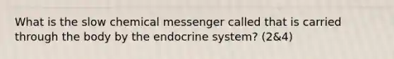 What is the slow chemical messenger called that is carried through the body by the endocrine system? (2&4)