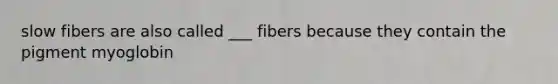 slow fibers are also called ___ fibers because they contain the pigment myoglobin