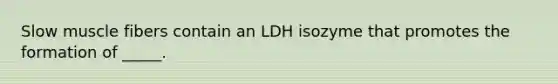 Slow muscle fibers contain an LDH isozyme that promotes the formation of _____.