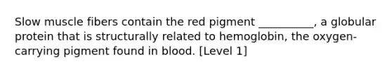 Slow muscle fibers contain the red pigment __________, a globular protein that is structurally related to hemoglobin, the oxygen-carrying pigment found in blood. [Level 1]