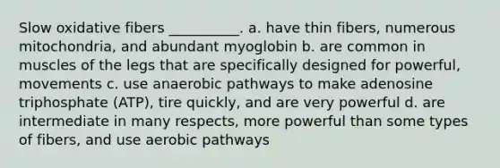 Slow oxidative fibers __________. a. have thin fibers, numerous mitochondria, and abundant myoglobin b. are common in muscles of the legs that are specifically designed for powerful, movements c. use anaerobic pathways to make adenosine triphosphate (ATP), tire quickly, and are very powerful d. are intermediate in many respects, more powerful than some types of fibers, and use aerobic pathways