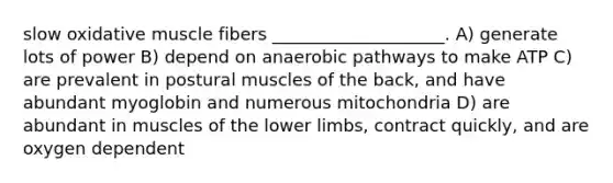 slow oxidative muscle fibers ____________________. A) generate lots of power B) depend on anaerobic pathways to make ATP C) are prevalent in postural muscles of the back, and have abundant myoglobin and numerous mitochondria D) are abundant in muscles of the <a href='https://www.questionai.com/knowledge/kF4ILRdZqC-lower-limb' class='anchor-knowledge'>lower limb</a>s, contract quickly, and are oxygen dependent