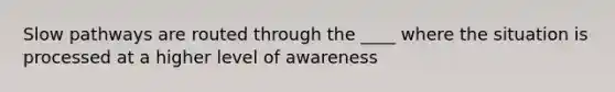 Slow pathways are routed through the ____ where the situation is processed at a higher level of awareness