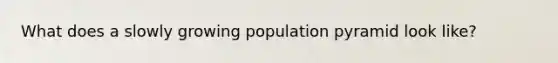 What does a slowly growing population pyramid look like?