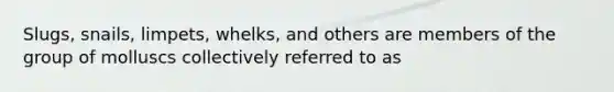 Slugs, snails, limpets, whelks, and others are members of the group of molluscs collectively referred to as