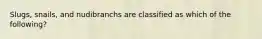 Slugs, snails, and nudibranchs are classified as which of the following?