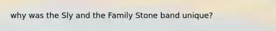 why was the Sly and the Family Stone band unique?