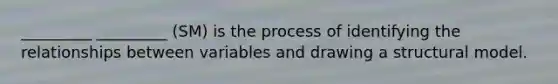 _________ _________ (SM) is the process of identifying the relationships between variables and drawing a structural model.