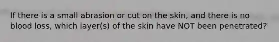 If there is a small abrasion or cut on the skin, and there is no blood loss, which layer(s) of the skin have NOT been penetrated?