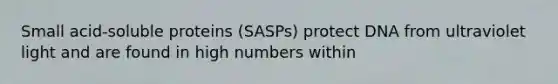 Small acid-soluble proteins (SASPs) protect DNA from ultraviolet light and are found in high numbers within