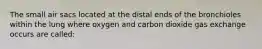 The small air sacs located at the distal ends of the bronchioles within the lung where oxygen and carbon dioxide gas exchange occurs are called: