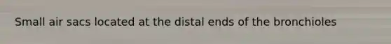 Small air sacs located at the distal ends of the bronchioles