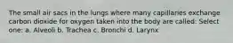 The small air sacs in the lungs where many capillaries exchange carbon dioxide for oxygen taken into the body are called: Select one: a. Alveoli b. Trachea c. Bronchi d. Larynx