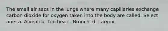 The small air sacs in the lungs where many capillaries exchange carbon dioxide for oxygen taken into the body are called: Select one: a. Alveoli b. Trachea c. Bronchi d. Larynx