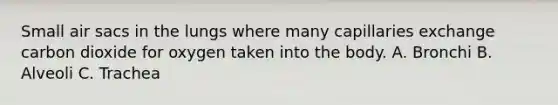 Small air sacs in the lungs where many capillaries exchange carbon dioxide for oxygen taken into the body. A. Bronchi B. Alveoli C. Trachea
