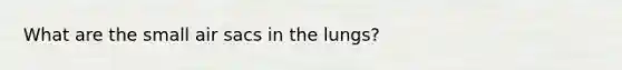 What are the small air sacs in the lungs?