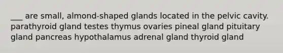 ___ are small, almond-shaped glands located in the pelvic cavity. parathyroid gland testes thymus ovaries pineal gland pituitary gland pancreas hypothalamus adrenal gland thyroid gland