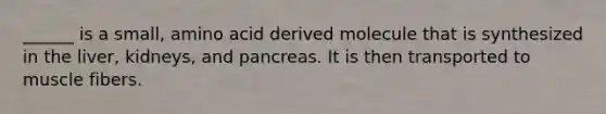 ______ is a small, amino acid derived molecule that is synthesized in the liver, kidneys, and pancreas. It is then transported to muscle fibers.