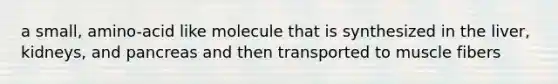 a small, amino-acid like molecule that is synthesized in the liver, kidneys, and pancreas and then transported to muscle fibers