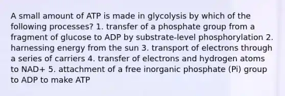 A small amount of ATP is made in glycolysis by which of the following processes? 1. transfer of a phosphate group from a fragment of glucose to ADP by substrate-level phosphorylation 2. harnessing energy from the sun 3. transport of electrons through a series of carriers 4. transfer of electrons and hydrogen atoms to NAD+ 5. attachment of a free inorganic phosphate (Pi) group to ADP to make ATP