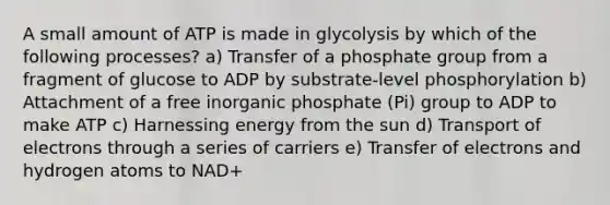 A small amount of ATP is made in glycolysis by which of the following processes? a) Transfer of a phosphate group from a fragment of glucose to ADP by substrate-level phosphorylation b) Attachment of a free inorganic phosphate (Pi) group to ADP to make ATP c) Harnessing energy from the sun d) Transport of electrons through a series of carriers e) Transfer of electrons and hydrogen atoms to NAD+