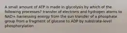 A small amount of ATP is made in glycolysis by which of the following processes? transfer of electrons and hydrogen atoms to NAD+ harnessing energy from the sun transfer of a phosphate group from a fragment of glucose to ADP by substrate-level phosphorylation