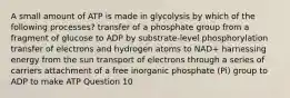 A small amount of ATP is made in glycolysis by which of the following processes? transfer of a phosphate group from a fragment of glucose to ADP by substrate-level phosphorylation transfer of electrons and hydrogen atoms to NAD+ harnessing energy from the sun transport of electrons through a series of carriers attachment of a free inorganic phosphate (Pi) group to ADP to make ATP Question 10