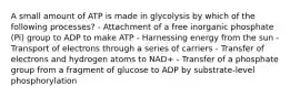 A small amount of ATP is made in glycolysis by which of the following processes? - Attachment of a free inorganic phosphate (Pi) group to ADP to make ATP - Harnessing energy from the sun - Transport of electrons through a series of carriers - Transfer of electrons and hydrogen atoms to NAD+ - Transfer of a phosphate group from a fragment of glucose to ADP by substrate-level phosphorylation