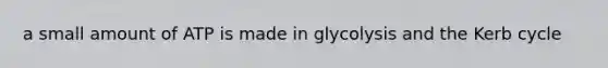 a small amount of ATP is made in glycolysis and the Kerb cycle